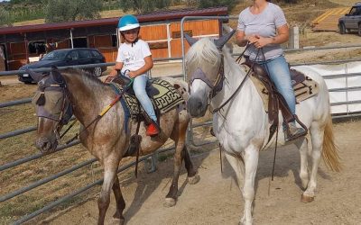 Scuola di equitazione western in Umbria