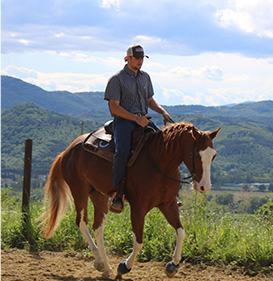 Trekking a cavallo in Umbria