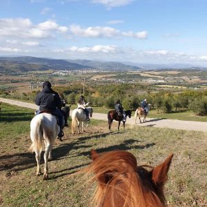 Passeggiate a cavallo in Alta Valle del Tevere